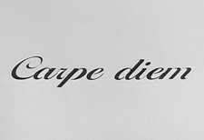 Schablone für Wände-Airbrush-Basteln-Vintage-Carpe diem-Schreibschrift # 1634