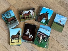 Ca. 420 Pferdepostkarten