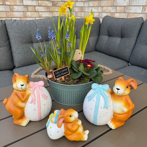Osterhase hasenfamilie mit - osterhase,