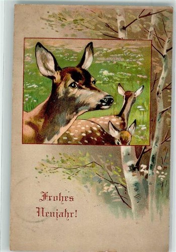 10666683 eine rehfamilie - 10666683, auf