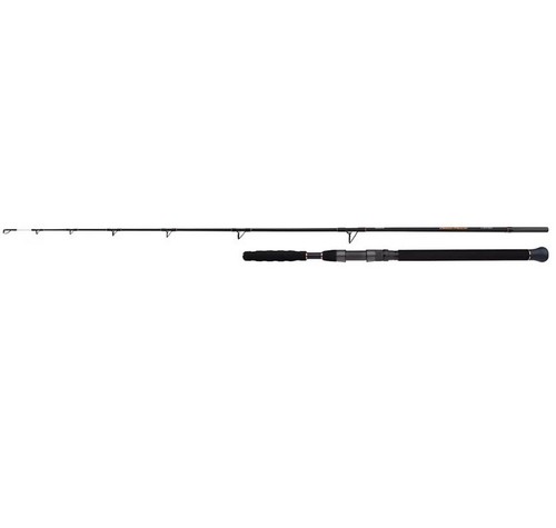 Shimano beastmaster catfish - ax,