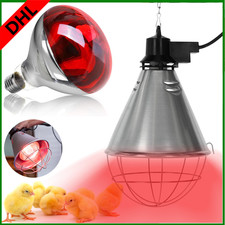 250W Rotlichtlampe Terrarium