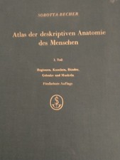 Atlas der deskriptiven Anatomie des Menschen von Sobotta Becher