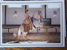 Postkarte AK Pferdepostkarte