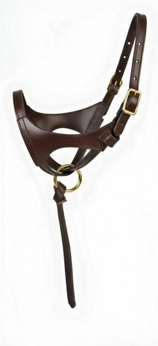 Fohlenhalfter leder - fohlenhalfter,