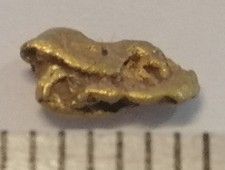 XXL Goldnugget 6,1 mm