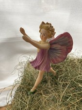 The Original Flower Fairies -