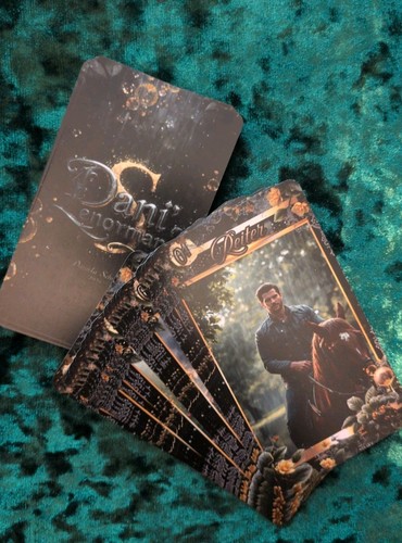 Dani lenormand karten - lenormand,