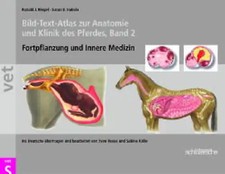 Bild-Text-Atlas zur Anatomie