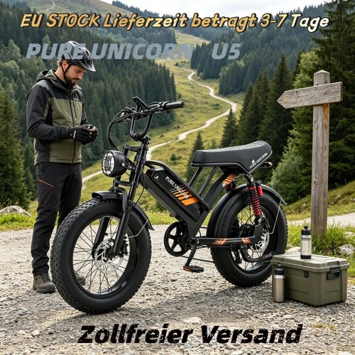 48v 2ah fat tire - 19.2ah,