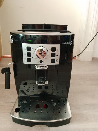 Longhi magnifica s - magnifica,