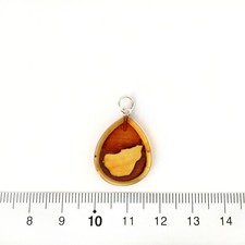 Natur-Bernstein Insel