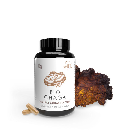 Pilze wohlrab chaga - pilz, bio