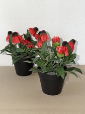 Ikea fejka topfpflanze - 2x,