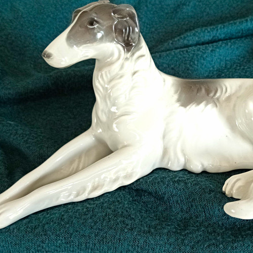 Greyhound barsoi bb1 - greyhound,