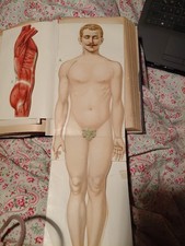 Buch 1912  Bibliothek des