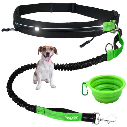 Joggingleine für kleine hunde - kleine,