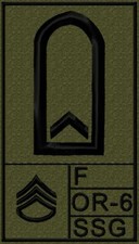 BW Rangabzeichen Heer mit