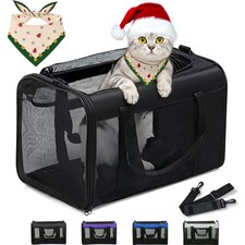 Katzentransportbox, Flugzeug