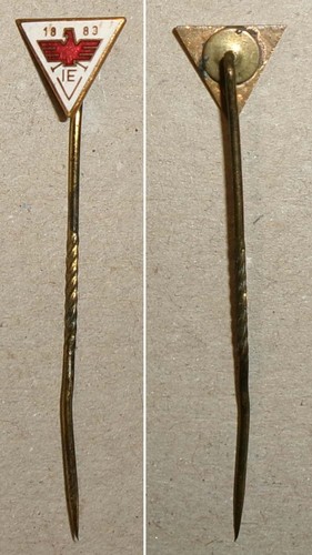 Emaillierte anstecknadel iev - anstecknadel,