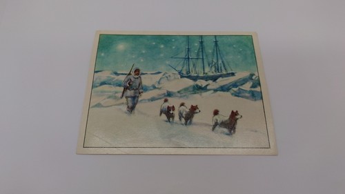 Wagner margarine sammelbild - margarine,