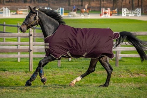 Horseware amigo hero ripstop - horseware,