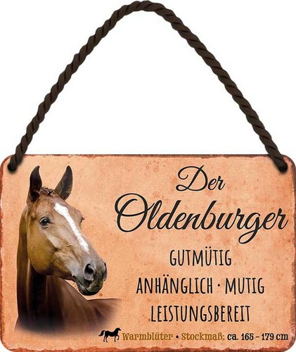 Steckbrief pferd der - steckbrief,