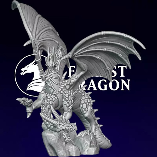 Hochelfen held auf drachen - held,
