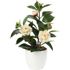 Künstliche Zimmerpflanze