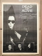 DEAD OR ALIVE SOPHISTICATED