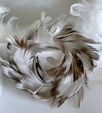 Süßer Federkranz echte