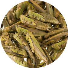 Fischfutter Reptilienfutter GRASHÜPFER-HEUSCHRECKEN Koifutter Teichfutter 500 ml