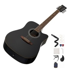 Elektro Akustische Gitarre