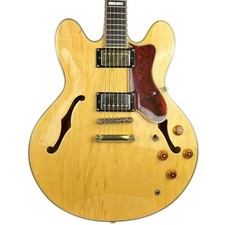Epiphone sheraton 2008 - epiphone, sheraton-ii