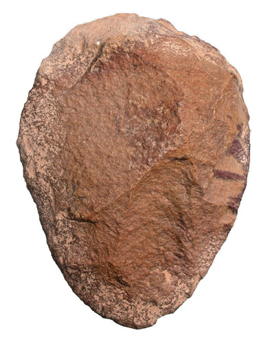 Paläolithikum cordiformer - paläolithikum,