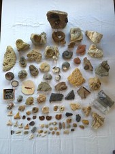 Fossiliensammlung Teil 1 - siehe Text und Bilder