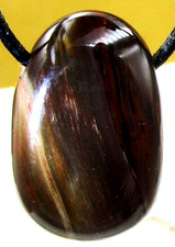 VERSTEINERTES  HOLZ