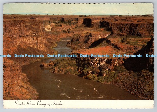 D333210 idaho snake - snake, river