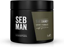 SEB MAN The Dandy - Pomade mit leichtem Halt und glänzendem Finish 75ml