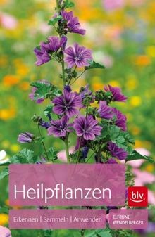 Heilpflanzen erkennen - heilpflanzen:,