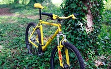 SINTESI JADE Retro-MTB MAGURA