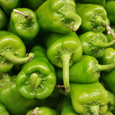 100 samen paprika - samen, 🌶️