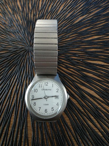 Fabiani armbanduhr titan - titan, quarz