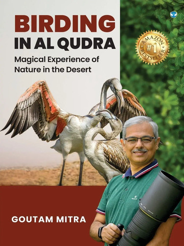 Birding qudra magical - birding,