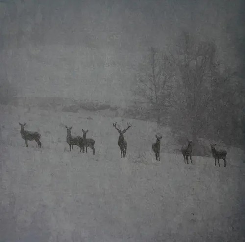 2xlp rauhnacht winterstille - 2xlp,