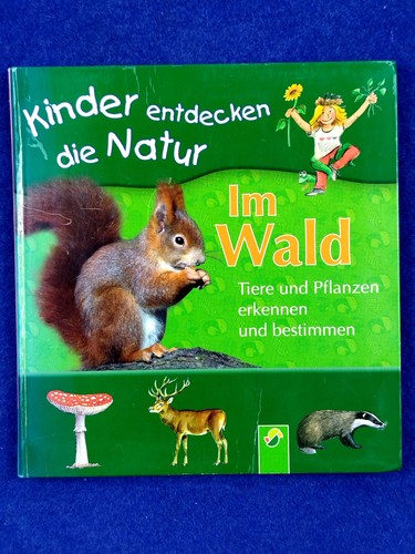 Wald tiere und pflanzen - tiere,
