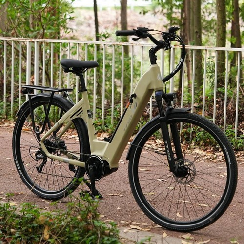 Ttgo elektrofahrrad 36v - c7, se