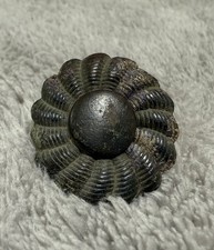 Antiker Knopf von einer