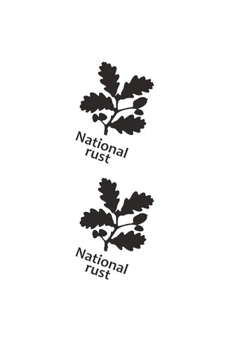 National rust joke euro - 2x,