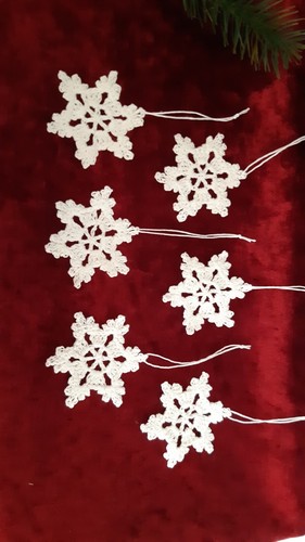 Weihnachtsstern - 6,